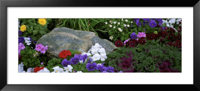 Flowers In A Garden, Alaska by Panoramic Images Pricing Limited Edition Print image