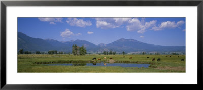 Herd Of Cows Grazing In A Field, Haines, Oregon, Usa by Panoramic Images Pricing Limited Edition Print image