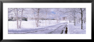 Snow Covered Road, Michigan, Usa by Panoramic Images Pricing Limited Edition Print image