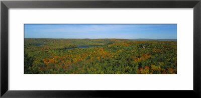 Forest, Minnesota, Usa by Panoramic Images Pricing Limited Edition Print image
