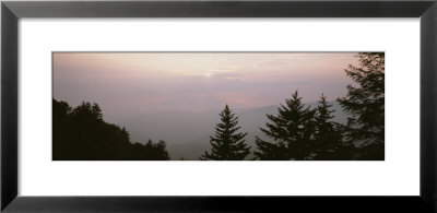 Silhouette Of Trees, Blue Ridge Parkway, North Carolina, Usa by Panoramic Images Pricing Limited Edition Print image