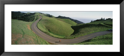 Person Cycling On The Road, Bolinas Ridge, Marin County, California, Usa by Panoramic Images Pricing Limited Edition Print image