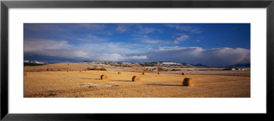 Hay Bales In A Field, Montana, Usa by Panoramic Images Pricing Limited Edition Print image
