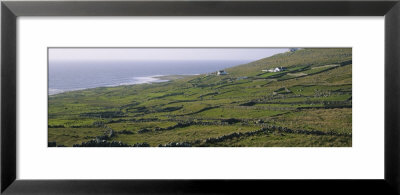 Field, Donegal, Republic Of Ireland by Panoramic Images Pricing Limited Edition Print image