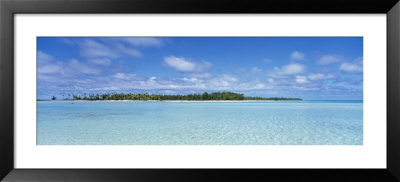 Trees On An Island, Rangiroa, French Polynesia by Panoramic Images Pricing Limited Edition Print image