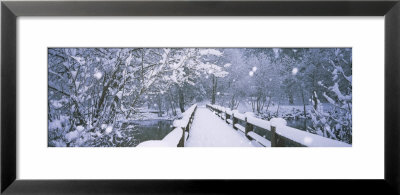 Trees Along A Snow Covered Footbridge, Yosemite National Park, California, Usa by Panoramic Images Pricing Limited Edition Print image