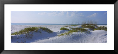 Grass On The Beach, Lido Beach, Lido Key, Sarasota, Florida, Usa by Panoramic Images Pricing Limited Edition Print image