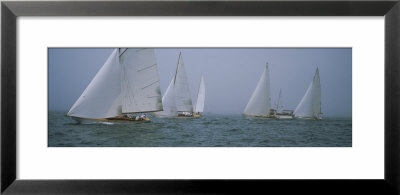Sailboats At Regatta, Newport, Rhode Island, Usa by Panoramic Images Pricing Limited Edition Print image
