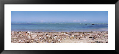Garbage Dumped On Beach, Puerto Plata, Dominican Republic by Panoramic Images Pricing Limited Edition Print image