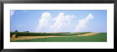 Hay Bales In A Field, Jo Daviess County, Illinois, Usa by Panoramic Images Pricing Limited Edition Print image