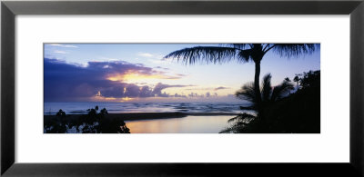 Palm Tree On The Beach, Wailua Bay, Kauai, Hawaii, Usa by Panoramic Images Pricing Limited Edition Print image