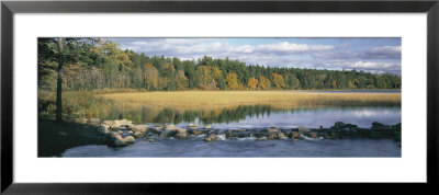 Trees Around A Lake, Itasca State Park, Minnesota, Usa by Panoramic Images Pricing Limited Edition Print image