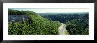 River Flowing Through A Forest, Genesee River, Letchworth State Park, New York State, Usa by Panoramic Images Pricing Limited Edition Print image