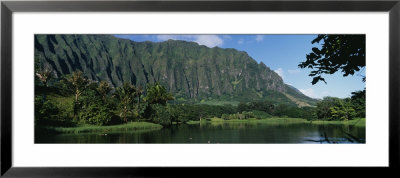 Pond In A Garden, Hoomaluhia Botanical Garden, Kaneohe, Oahu, Hawaii, Usa by Panoramic Images Pricing Limited Edition Print image