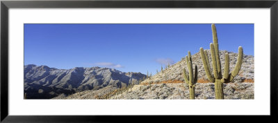 Saguaros Cactus On Mountain Range, Superstition Mountains, Arizona, Usa by Panoramic Images Pricing Limited Edition Print image