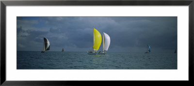 Sailboat Racing In The Ocean, Key West, Florida, Usa by Panoramic Images Pricing Limited Edition Print image