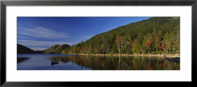 Reflection Of Trees In Water, Acadia National Park, Maine, Usa by Panoramic Images Pricing Limited Edition Print image