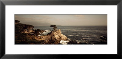 Cliff Along The Sea, Seven Mile Beach, California, Usa by Panoramic Images Pricing Limited Edition Print image