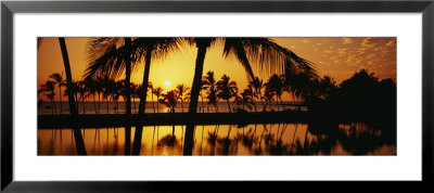 Silhouette Of Palm Trees At Sunset, Anaeho Omalu Bay, Waikoloa, Hawaii, Usa by Panoramic Images Pricing Limited Edition Print image