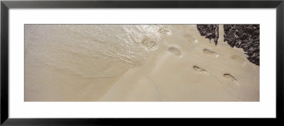 Footprints On The Beach, Railay Beach, Krabi, Thailand by Panoramic Images Pricing Limited Edition Print image