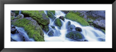 Waterfall Flowing Over Mossy Rocks, Periodic Spring, Bridger-Teton National Forest, Wyoming, Usa by Panoramic Images Pricing Limited Edition Print image
