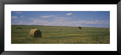 Hay Bales In A Field, Sundance, Idaho, Usa by Panoramic Images Pricing Limited Edition Print image