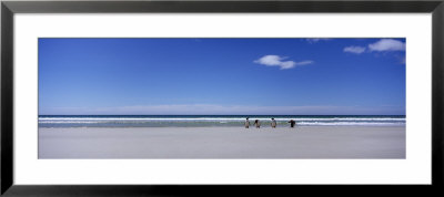 Four Gentoo Penguins Standing On The Beach, Falkland Islands by Panoramic Images Pricing Limited Edition Print image