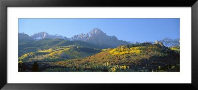 Vegetation On Mountains, Mount Sneffels, Uncompahgre National Forest, Colorado, Usa by Panoramic Images Pricing Limited Edition Print image