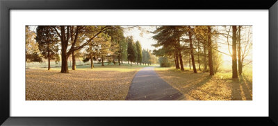 Autumn Trees Along A Road, Middleburg, Virginia, Usa by Panoramic Images Pricing Limited Edition Print image