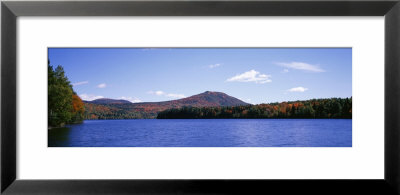 Pond And Tree Covered With Flowers, Molly's Falls Pond, Vermont, Usa by Panoramic Images Pricing Limited Edition Print image