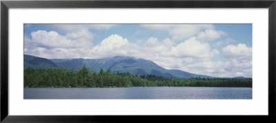 Trees Along A Pond, Daicy Pond, Baxter State Park, Maine, Usa by Panoramic Images Pricing Limited Edition Print image