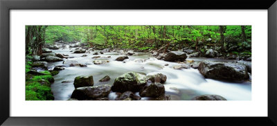 Water Flowing Over Rocks, Little Pigeon River, Great Smoky Mountains National Park, Tennessee, Usa by Panoramic Images Pricing Limited Edition Print image