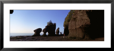 Person With A Dog, Bay Of Fundy, Hopewell Rocks, New Brunswick, Canada by Panoramic Images Pricing Limited Edition Print image