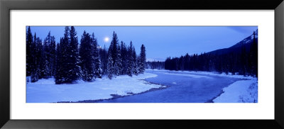 Moon Rising Above The Forest, Banff National Park, Alberta, Canada by Panoramic Images Pricing Limited Edition Print image