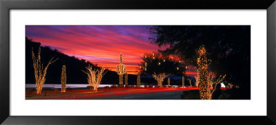 Christmas, Phoenix, Arizona, Usa by Panoramic Images Pricing Limited Edition Print image
