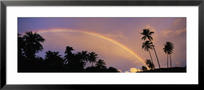 Rainbow Between Palm Trees At Dusk, French Polynesia by Panoramic Images Pricing Limited Edition Print image
