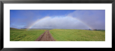 Rainbow Over A Landscape, Kamuela, Big Island, Hawaii, Usa by Panoramic Images Pricing Limited Edition Print image