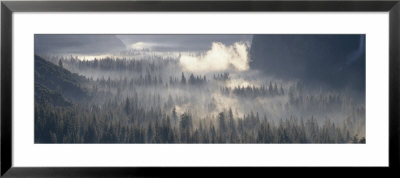 Fog Over The Forest, Yosemite National Park, California, Usa by Panoramic Images Pricing Limited Edition Print image