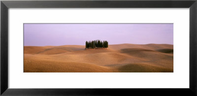 Tuscany, Italy by Panoramic Images Pricing Limited Edition Print image