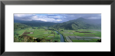Rice Fields, Hanalei Valley, Kauai, Hawaii, Usa by Panoramic Images Pricing Limited Edition Print image