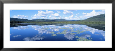 Lake Near Beaver Creek. Yukon Territory, Canada by Panoramic Images Pricing Limited Edition Print image