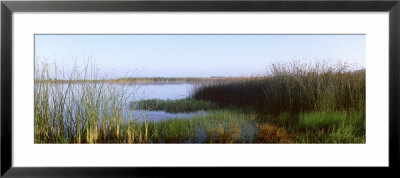 Pond, Half Moon Bay, California, Usa by Panoramic Images Pricing Limited Edition Print image