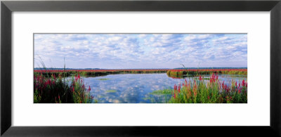 Montezuma National Wildlife Refuge, New York State, Usa by Panoramic Images Pricing Limited Edition Print image