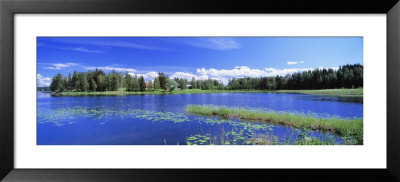 Lakelands, Finland by Panoramic Images Pricing Limited Edition Print image