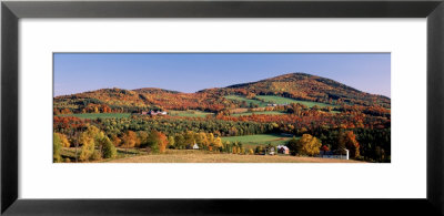 Autumn, Rolling Landscape, Barnet, Vermont, Usa by Panoramic Images Pricing Limited Edition Print image