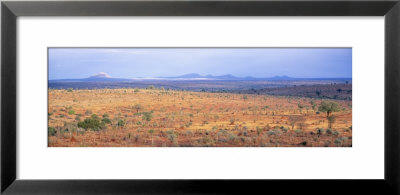 Tarangire Park, Tanzania, Africa by Panoramic Images Pricing Limited Edition Print image