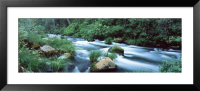 Burney Creek, Mcarthur Burney Falls Memorial State Park, California, Usa by Panoramic Images Pricing Limited Edition Print image