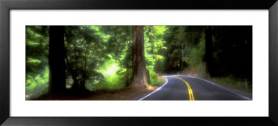 Road, Redwoods, Mendocino County, California, Usa by Panoramic Images Pricing Limited Edition Print image