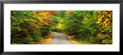 Road, White Mountain Forest, New Hampshire, Usa by Panoramic Images Pricing Limited Edition Print image