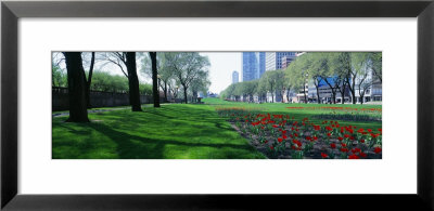 Public Gardens, Loop, Cityscape, Grant Park, Chicago, Illinois, Usa by Panoramic Images Pricing Limited Edition Print image